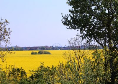 Blick vom Hotel Rapsfeld und Fehmarnsundbrücke