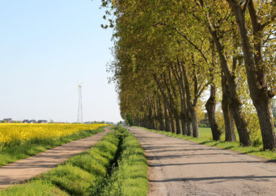 Rad- und Wanderweg vor dem Hotel